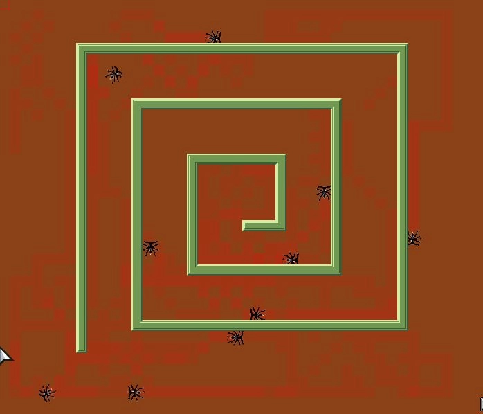 Screenshot of ant simulation