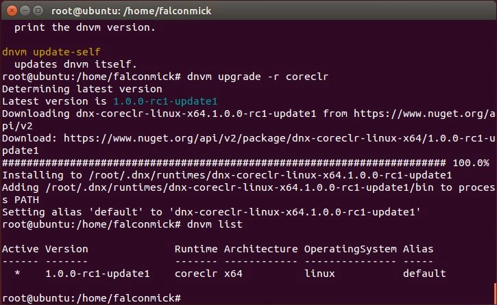 dnvm list command output