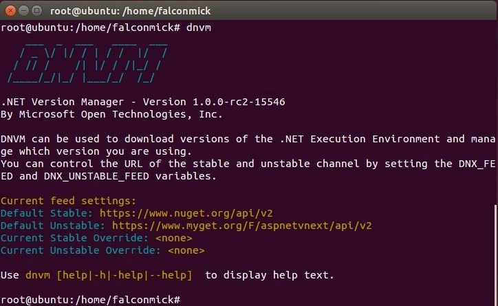 DNVM terminal command output