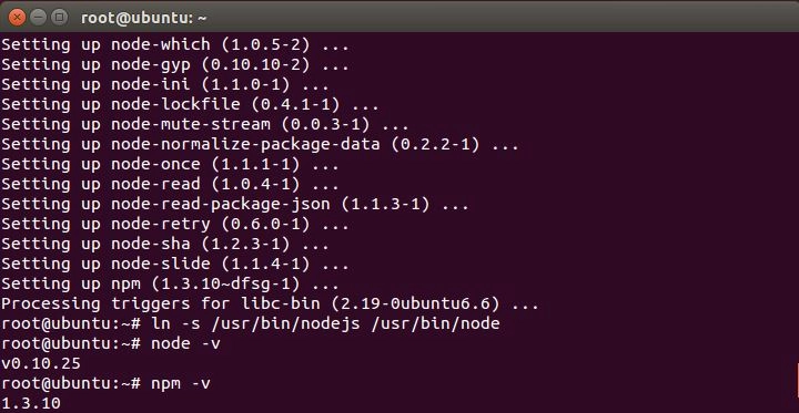 installation of node and the expected terminal output
